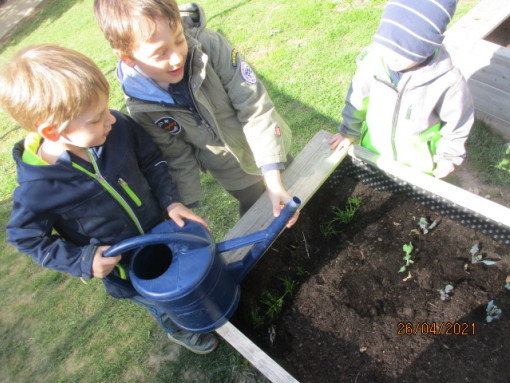 Drei Kinder gießen gemeinsam die Pflanzen im Hochbeet