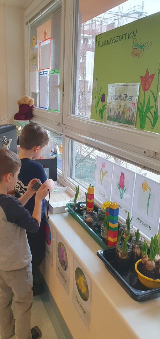 Zwei Kinder sind mit MINT-Gerät beschäftigt bei Pflanzen auf der Fensterbank
