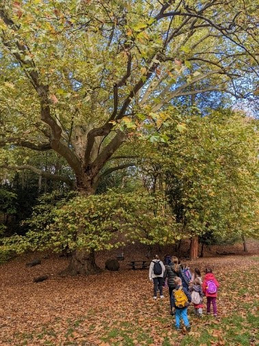 Kinder beim Waldspaziergang