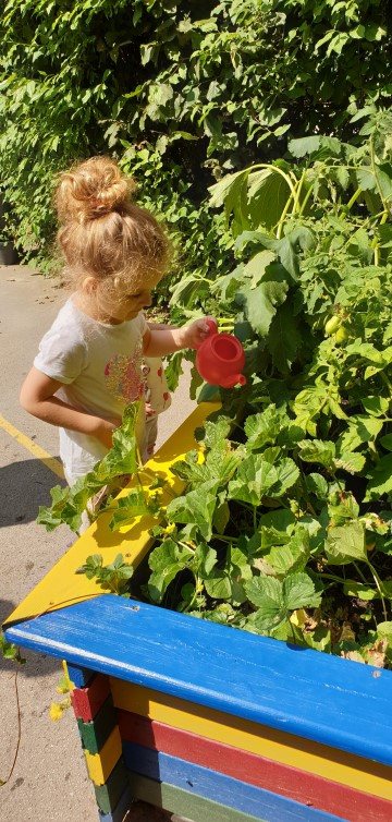 Ein Mädchen kümmert sich um Kräuter in einem bunt bemalten Beet, indem sie sie gießt