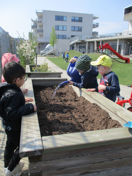 Kinder gießen das Hochbeet