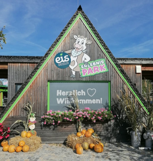 Galeriebild