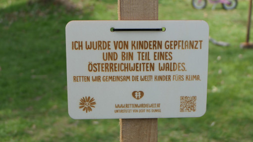 Galeriebild