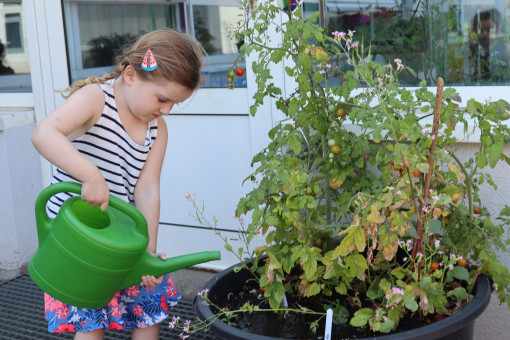 Ein Kind gießt eine Pflanze im Garten