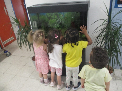 Kinder beobachten das Aquarium