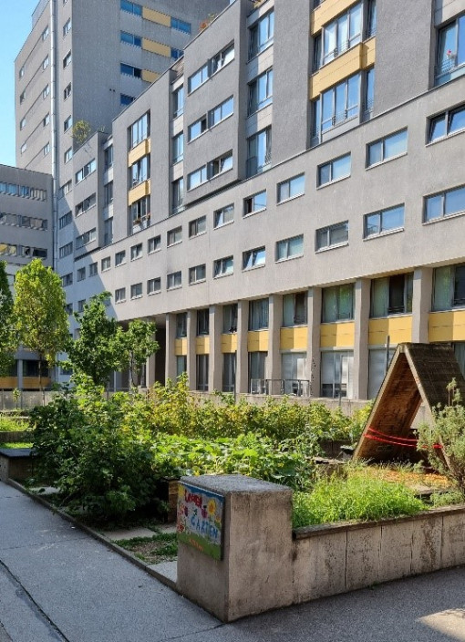 Terrassenbereich hier gibt es: Barfußweg, Anbau von Obst und Gemüse, Dreiräder, Sandspielkiste, …