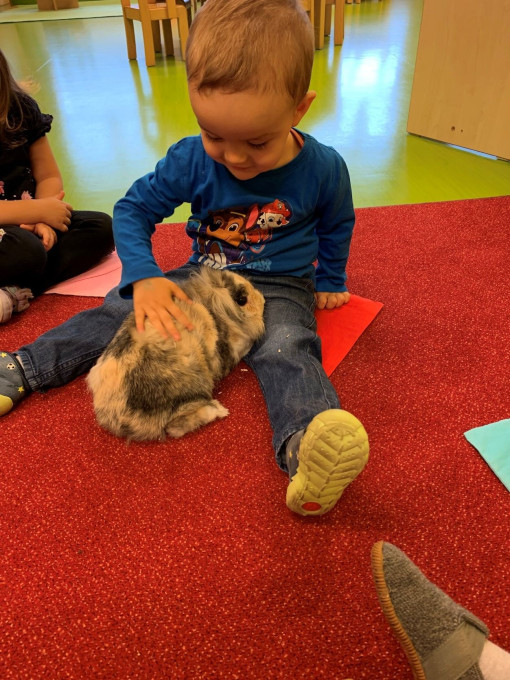 Kind mit Zwergkaninchen