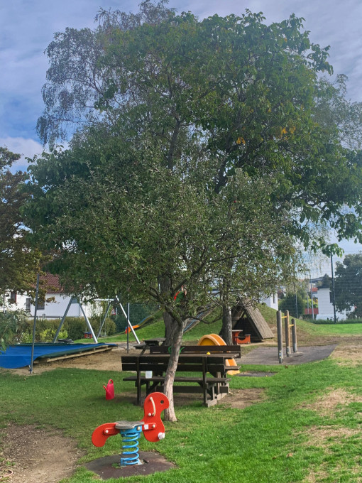 Einblick in den großen Garten mit Sandkiste, Schaukel, kleiner Hütte und Gartenbank