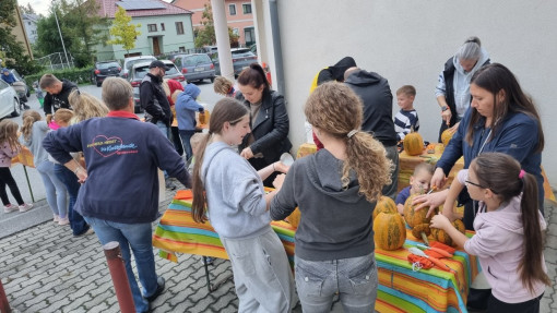 Galeriebild