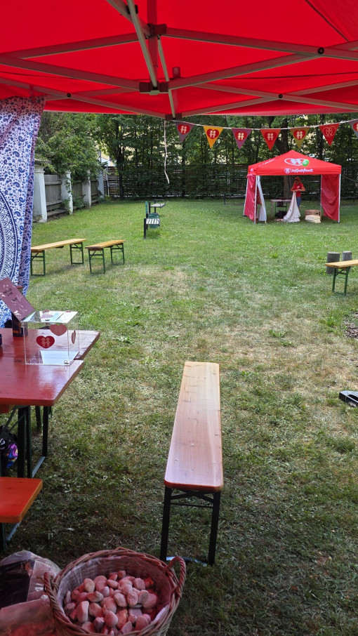 Galeriebild