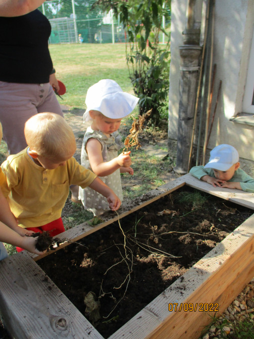 Zwei Kinder pflegen ein Hochbeet