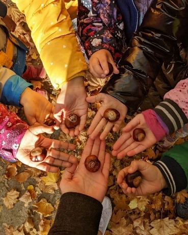 Kinder halten Kastanien in der ausgestreckten Hand