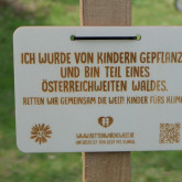 Jeder Baum zählt  Kinderfreundewald