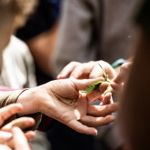 Sommerakademie "(Über)leben in der Natur