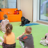 Welthundetag 2025 - Therapiehund Shira zu Besuch im Betriebskindergarten Klinik Floridsdorf