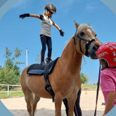 Erdleiten/Bad Zell - Reiten am Bauernhof