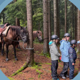Erdleiten/Bad Zell - Reiten am Bauernhof