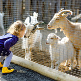 Familienausflug in den Tierpark Haag