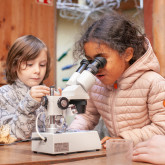 Umweltprogramme für Gruppen am Kinderfreunde-Robinsonspielplatz