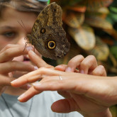 Sommerakademie "Sei ein:e Naturdetektiv:in"