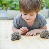 Kinderkrippe "die Igelen"